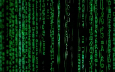 Is Your Team Ready to Protect Data?